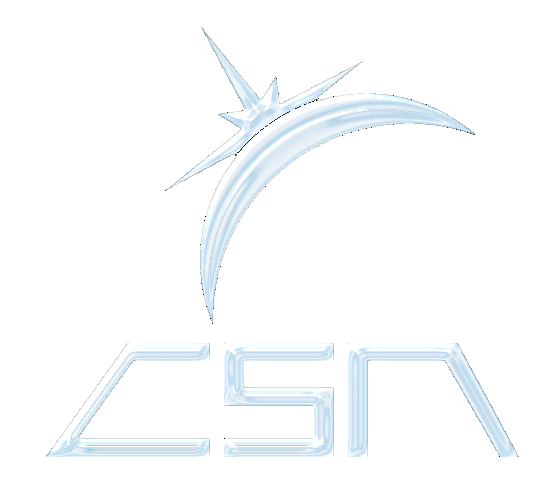 CSA mini-logo